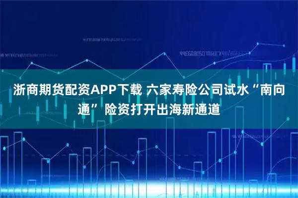 浙商期货配资APP下载 六家寿险公司试水“南向通” 险资打开出海新通道